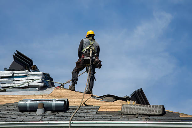 Professional Gutter Installation technician working in Saint Edward, NE